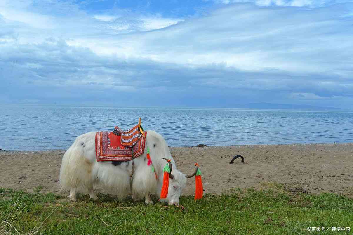6月份去甘肃青海旅游穿什么衣服